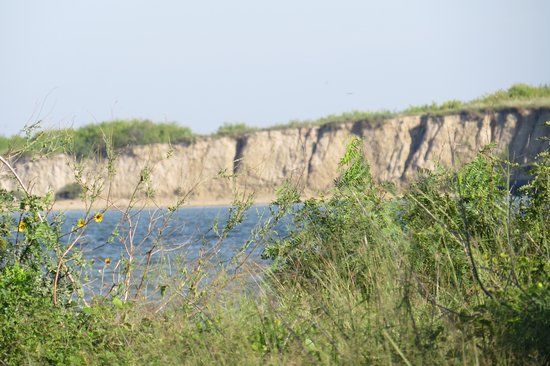 Port Aransas Nature Preserve at Charlie's Pasture